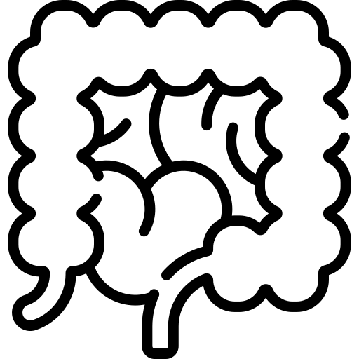 013 large intestine