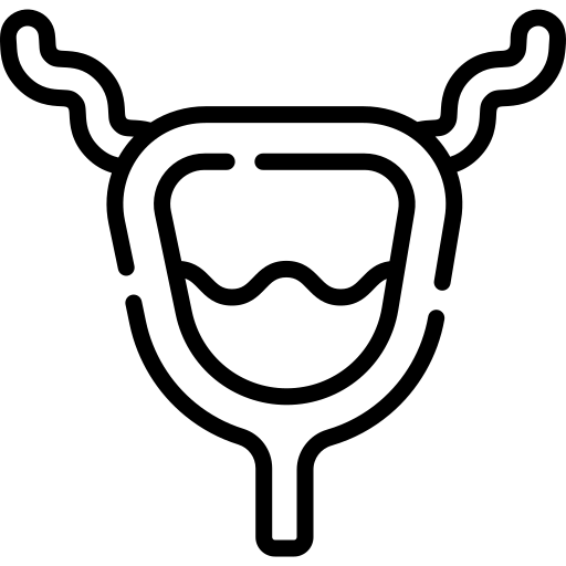 025 bladder